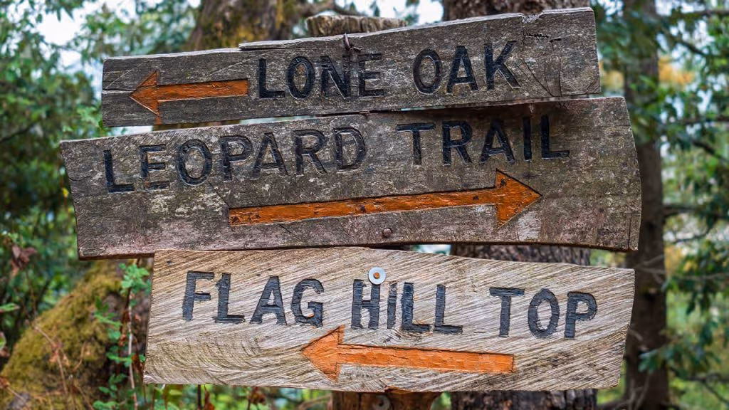 Streamlining Microservices Testing With Platform Engineering